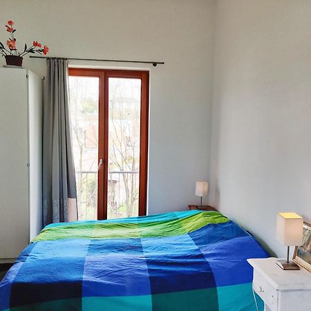 Petit Nid En Alsace Studio Independant Avec Salle De Douche Privative Buschwiller Exterior foto